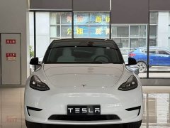 Tesla Model Y Edition - фото 3