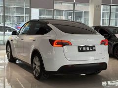 Tesla Model Y Edition - фото 7
