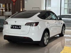 Tesla Model Y Edition - фото 8