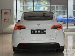 Tesla Model Y Edition - фото 9