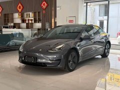 Tesla Model 3 Standard Range Edition - фото 1
