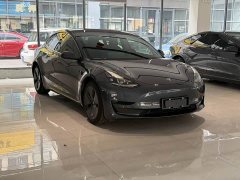 Tesla Model 3 Standard Range Edition - фото 2