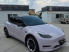 Tesla Model Y Edition - фото 1