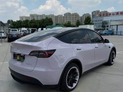 Tesla Model Y Edition - фото 9