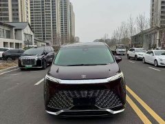 Tesla 2.0T Edition - фото 1