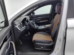 BYD PLUS 1.5T Premium Version - фото 10