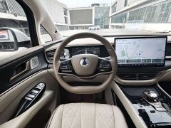 Denza D9 DM-i 970 four-wheel drive flagship - фото 15