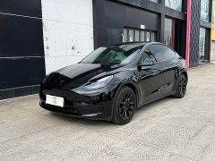 Tesla Model Y Edition - фото 1