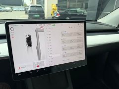 Tesla Model Y Edition - фото 10