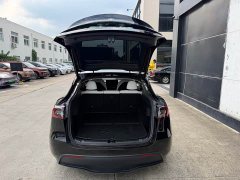 Tesla Model Y Edition - фото 16