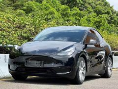 Tesla Model Y Edition - фото 1