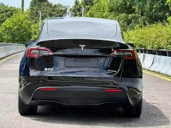 Tesla Model Y Edition - фото 17