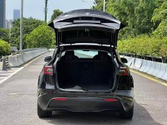 Tesla Model Y Edition - фото 18