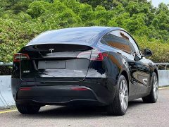 Tesla Model Y Edition - фото 19