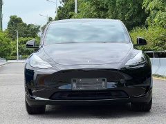 Tesla Model Y Edition - фото 2