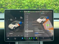 Tesla Model Y Edition - фото 4