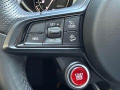 Tesla Stelvio 2.0T 280HP Luxury Edition - фото 15