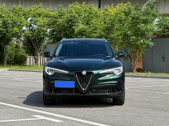 Tesla Stelvio 2.0T 280HP Luxury Edition - фото 2
