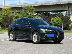 Tesla Stelvio 2.0T 280HP Luxury Edition - фото 3
