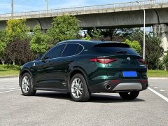 Tesla Stelvio 2.0T 280HP Luxury Edition - фото 4