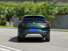 Tesla Stelvio 2.0T 280HP Luxury Edition - фото 5