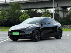 Tesla Model Y Edition - фото 1