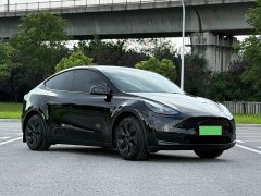 Tesla Model Y Edition - фото 3
