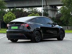 Tesla Model Y Edition - фото 6