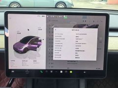 Tesla Model Y Edition - фото 12