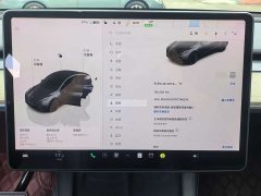 Tesla Model Y Edition - фото 13