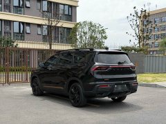 Lynk & Co Haoyue 1.8TD DCT black gold limited edition 7 seats - фото 17