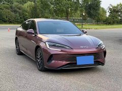 BYD DM-i 1.5L 121km Luxury Version - фото 3