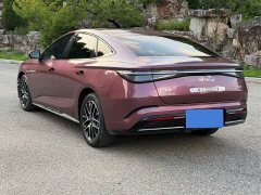 BYD DM-i 1.5L 121km Luxury Version - фото 6