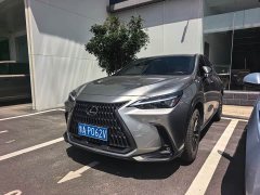 Lexus NX 260 Edition - фото 1