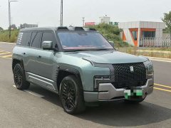Yangwang U8 Luxury Edition - фото 3