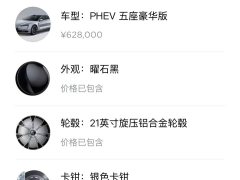 Yangwang U7 PHEV Luxury Edition - фото 9
