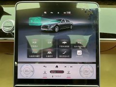 Maybach S-Class S 480 4MATIC - фото 19