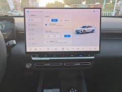 Changan 1.5T 500Bar Smart Version - фото 13