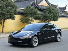 Tesla Model 3 Edition - фото 1