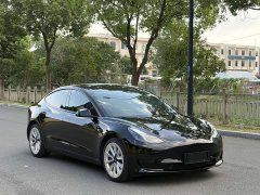 Tesla Model 3 Edition - фото 3