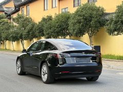 Tesla Model 3 Edition - фото 5