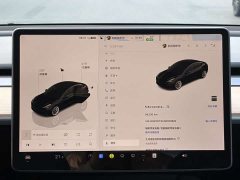Tesla Model 3 Edition - фото 9