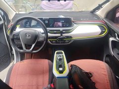 BYD E-Star Edition - фото 5