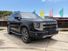 Haval Big Dog 2022 1.5T DCT two-wheel drive Border Collie version - фото 3