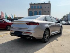 Tesla Xingrui 2021 2.0TD Premium - фото 5