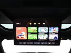 Li Auto L9 Max - фото 18