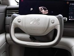 Land Rover LS6 EV Max - фото 20