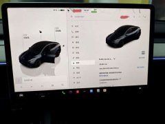 Tesla Model Y Edition - фото 11