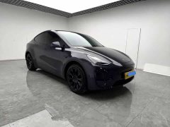 Tesla Model Y Edition - фото 3