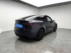 Tesla Model Y Edition - фото 6